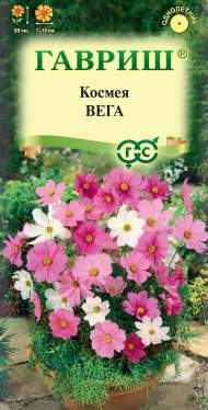 Космея Вега карликовая (гавриш) 0,5 гр Космея Вега карликовая (гавриш) 0,5 гр