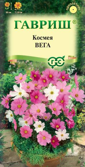 Космея Вега карликовая (гавриш) 0,5 гр  – купить в г. Омск