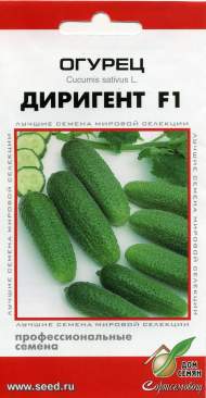 Огурец Диригент F1 (дом семян) 6 шт