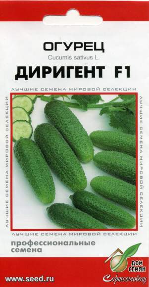 Огурец Диригент F1 (дом семян) 6 шт  – купить в г. Омск