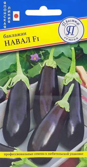 Баклажан Навал F1 (престиж) 3 шт – купить в г. Омск Баклажан Навал F1 (престиж) 3 шт – купить в г. Омск