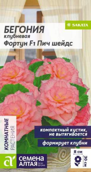 Бегония клубневая Фортун Пич Шейдс F1 (семена Алтая) 4 шт – купить в г. Омск Бегония клубневая Фортун Пич Шейдс F1 (семена Алтая) 4 шт – купить в г. Омск