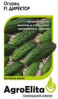 Огурец Директор F1 (агроэлита) 5 шт (nunhems)