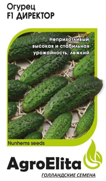 Огурец Директор F1 (агроэлита) 5шт (nunhems)  – купить в г. Омск