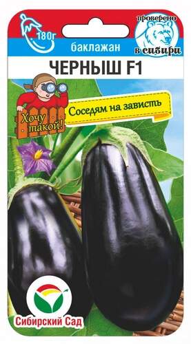 Баклажан Черныш F1 (сибирский сад) 10 шт  – купить в г. Омск