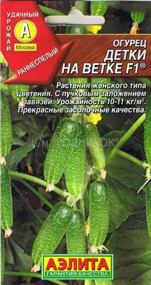 Огурец Детки на ветке F1 (аэлита) 10 шт – купить в г. Омск Огурец Детки на ветке F1 (аэлита) 10 шт – купить в г. Омск