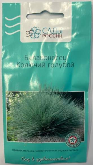 Булавоносец Колючий голубой (сады России) 3шт  – купить в г. Омск