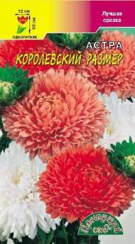 Астра Королевский размер смесь (цветущий сад) 0,1 гр Астра Королевский размер смесь (цветущий сад) 0,1 гр