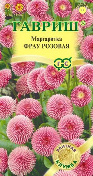Маргаритка Фрау розовая (гавриш) 4шт  – купить в г. Омск