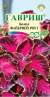 Колеус Файервей роуз (гавриш) 4 шт  – купить в г. Омск