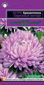 Астра Сиреневый восторг (Хризантелла) (г) 0,05гр Астра Сиреневый восторг (Хризантелла) (г) 0,05гр