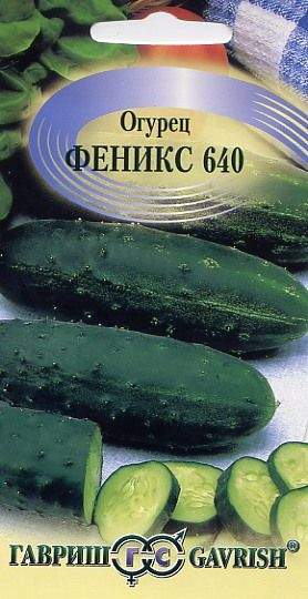 Огурец Феникс 640 (г) 0,5гр  – купить в г. Омск