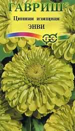 Цинния Энви (гавриш) 0,5 гр  – купить в г. Омск