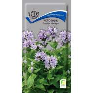 Котовник Голубая пантера (поиск) 10 шт