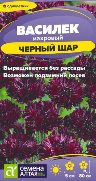 Василек махровый Черный шар (семена Алтая) 0,3 гр однолетник – купить в г. Омск Василек махровый Черный шар (семена Алтая) 0,3 гр однолетник – купить в г. Омск