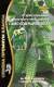 Огурец Само совершенство F1 (уд) 5шт  – купить в г. Омск