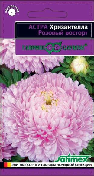 Астра Розовый восторг (Хризантелла) (г) 0,05гр  – купить в г. Омск