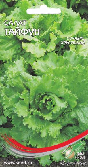 Салат листовой Тайфун (дом семян) 440 шт  – купить в г. Омск