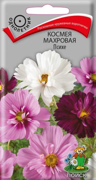 Космея махровая Психе (поиск) 0,2 гр  – купить в г. Омск