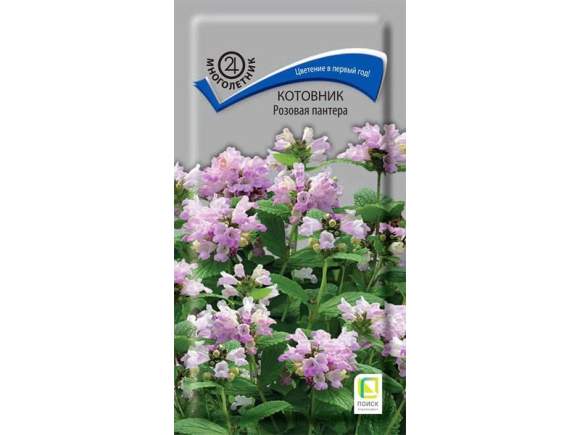 Котовник Розовая пантера (поиск) 10шт – купить в г. Омск Котовник Розовая пантера (поиск) 10шт – купить в г. Омск