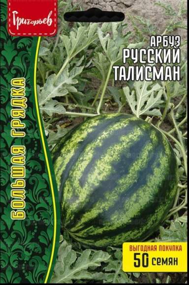 Арбуз Русский талисман (Григорьев) 50 шт  – купить в г. Омск