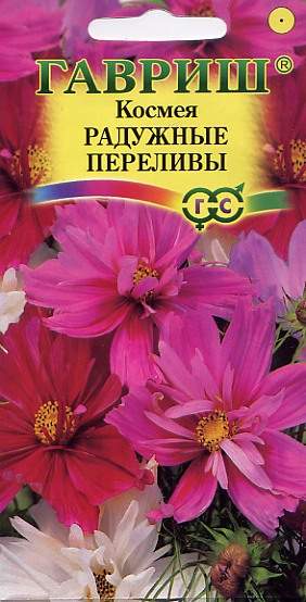 Космея Радужные переливы (гавриш) 0,1 гр  – купить в г. Омск