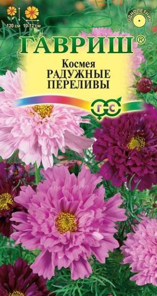 Космея Радужные переливы (гавриш) 0,1 гр – купить в г. Омск Космея Радужные переливы (гавриш) 0,1 гр – купить в г. Омск