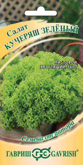 Салат листовой Кучеряш зеленый (гавриш) 0,5гр – купить в г. Омск Салат листовой Кучеряш зеленый (гавриш) 0,5гр – купить в г. Омск