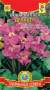 Инкарвиллея Делавея (плазмас) 7 шт  – купить в г. Омск