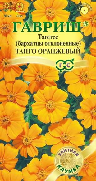 Бархатцы Танго оранжевый (гавриш) 7 шт  – купить в г. Омск