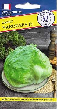 Салат кочанный Чаконера F1 (престиж) 5 шт  – купить в г. Омск