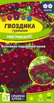 Гвоздика турецкая Нигриканс (семена Алтая) 0,05 гр двулетник