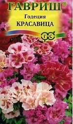 Годеция Красавица (гавриш) 0,1гр  – купить в г. Омск