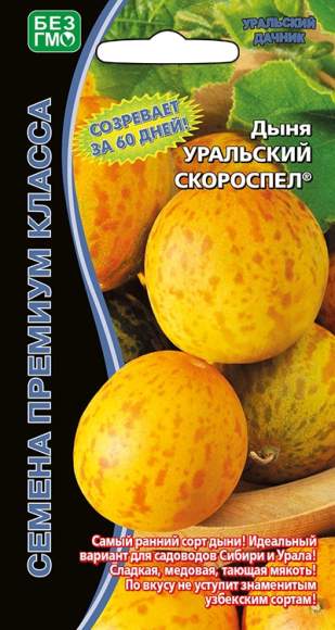 Дыня Уральский скороспел (уральский дачник) 6шт  – купить в г. Омск