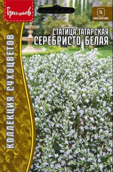 Статица татарская Серебристо-белая (кермек) (Григорьев) 10 шт  – купить в г. Омск
