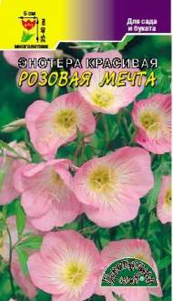 Энотера Розовая мечта (цветущий сад) 0,05гр Энотера Розовая мечта (цветущий сад) 0,05гр