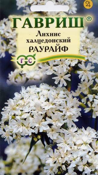 Лихнис халцедонский Раурайф (г) 0,1гр  – купить в г. Омск