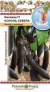 Баклажан Король севера F1 (нк) 35 шт  – купить в г. Омск