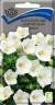 Колокольчик карпатский Белый (поиск) 0,1гр  – купить в г. Омск