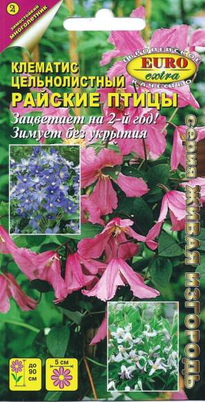 Клематис Райские птицы (аэлита) 0,02 гр  – купить в г. Омск