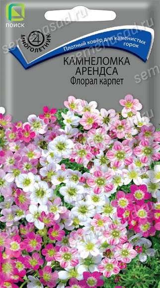 Камнеломка Арендса Флорал карпет (поиск) 0,01 гр   – купить в г. Омск