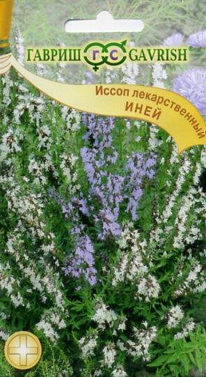Иссоп Иней (гавриш) 0,2гр  – купить в г. Омск