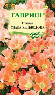 Годеция Слава Кальведона (гавриш) 0,05 гр Годеция Слава Кальведона (гавриш) 0,05 гр