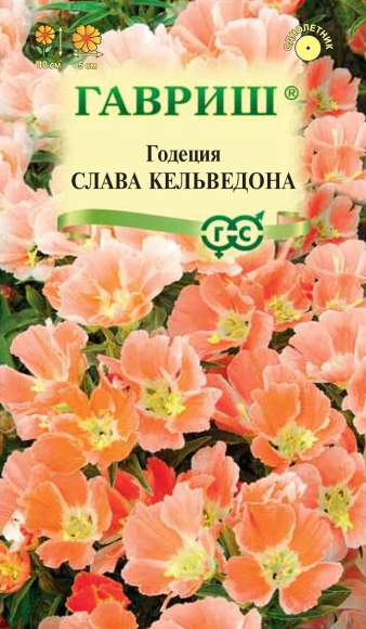 Годеция Слава Кальведона (гавриш) 0,05 гр  – купить в г. Омск