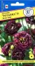 Эустома Розанна блек пир F1 (престиж) 3шт  – купить в г. Омск