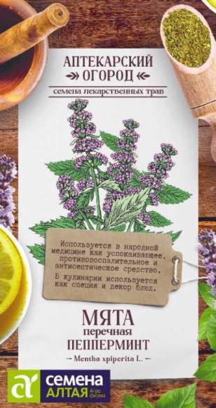 Мята перечная Пепперминт (семена Алтая) 0,05 гр  – купить в г. Омск