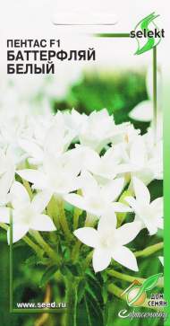 Пентас F1 Баттерфляй Белый (дом семян) 3 шт