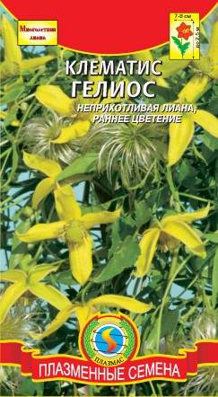 Клематис Гелиос (плазмас) 10 шт  – купить в г. Омск