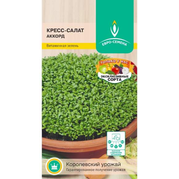 Кресс-салат Аккорд (евро семена) 1,0гр  – купить в г. Омск