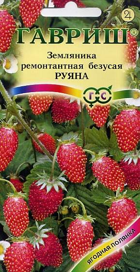 Земляника Руяна (гавриш) 0,03гр  – купить в г. Омск
